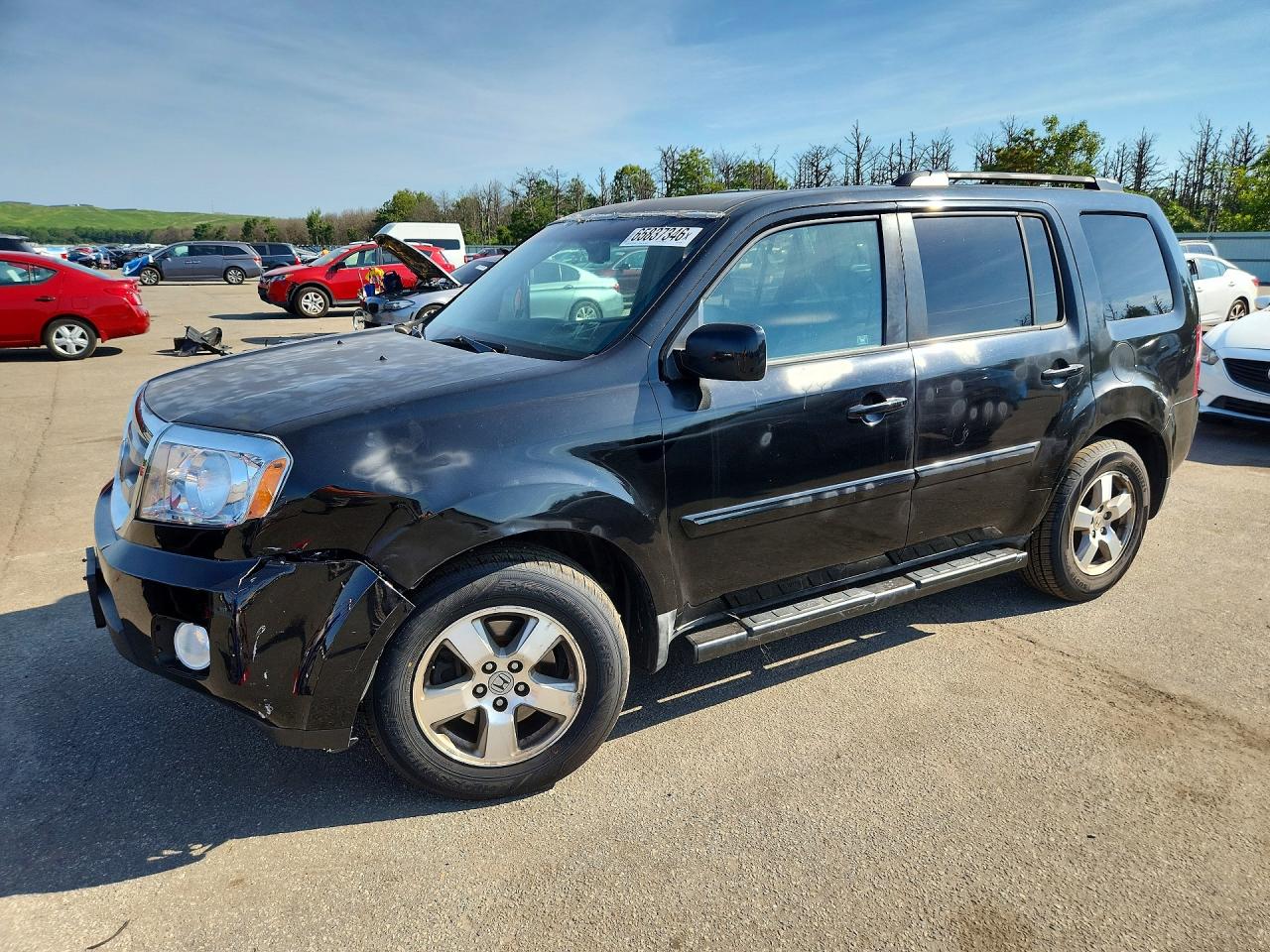 5FNYF4H55BB073703 · 2011 HONDA PILOT