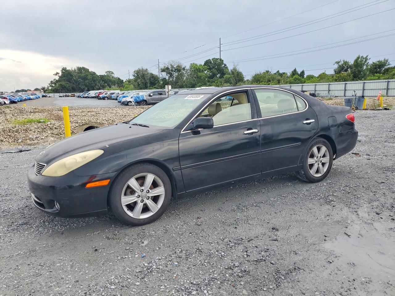 JTHBA30G155084620 · 2005 LEXUS ES
