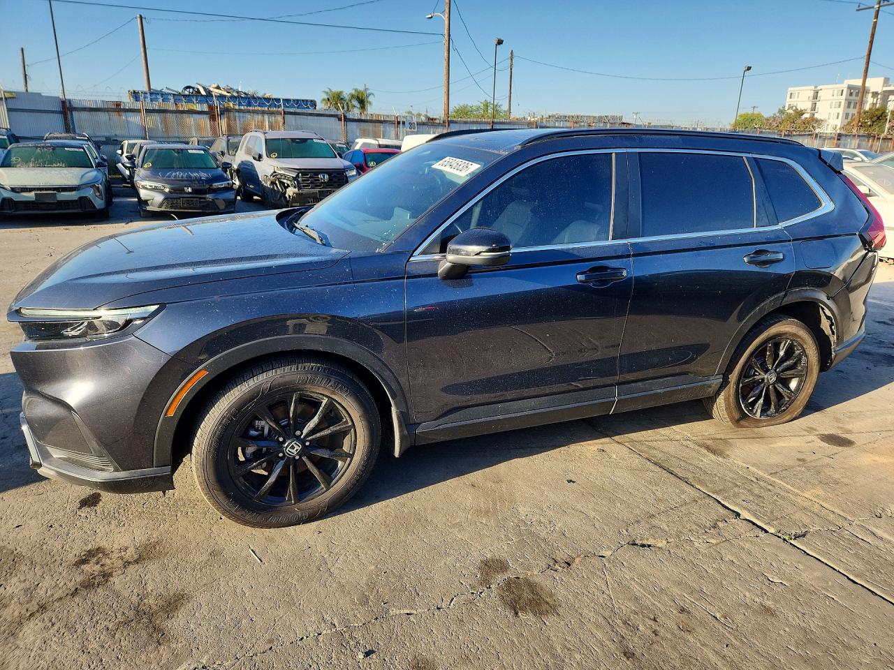 2HKRS6H59RH809632 · 2024 HONDA CR-V