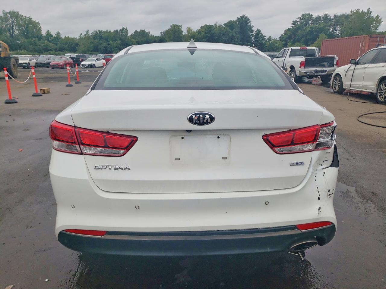 5XXGT4L19JG203146 · 2018 KIA OPTIMA · 6/12