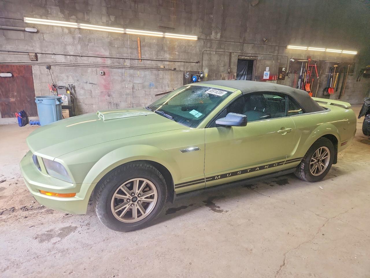 1ZVFT84N055232403 · 2005 FORD MUSTANG