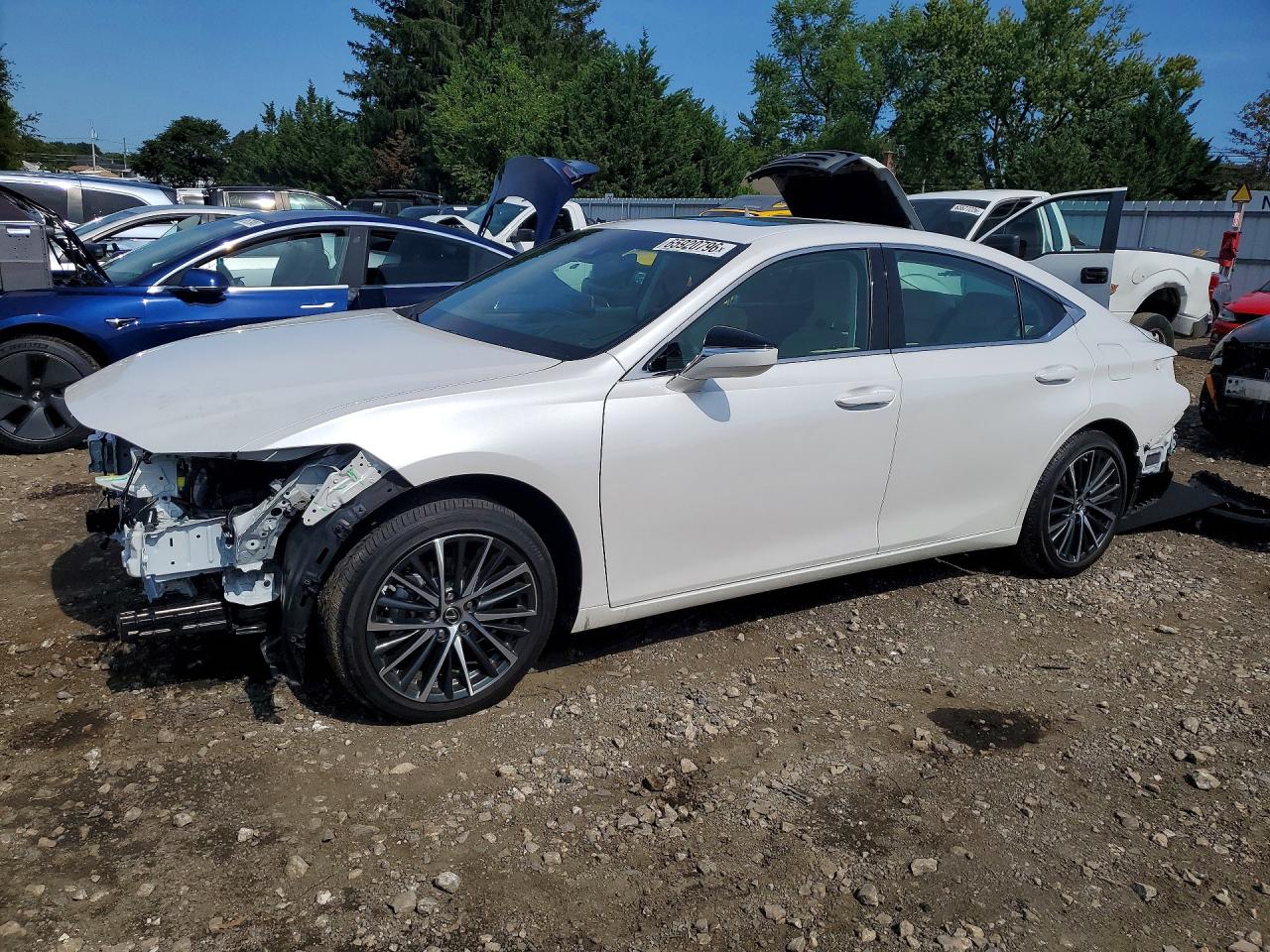 2024 LEXUS ES 350