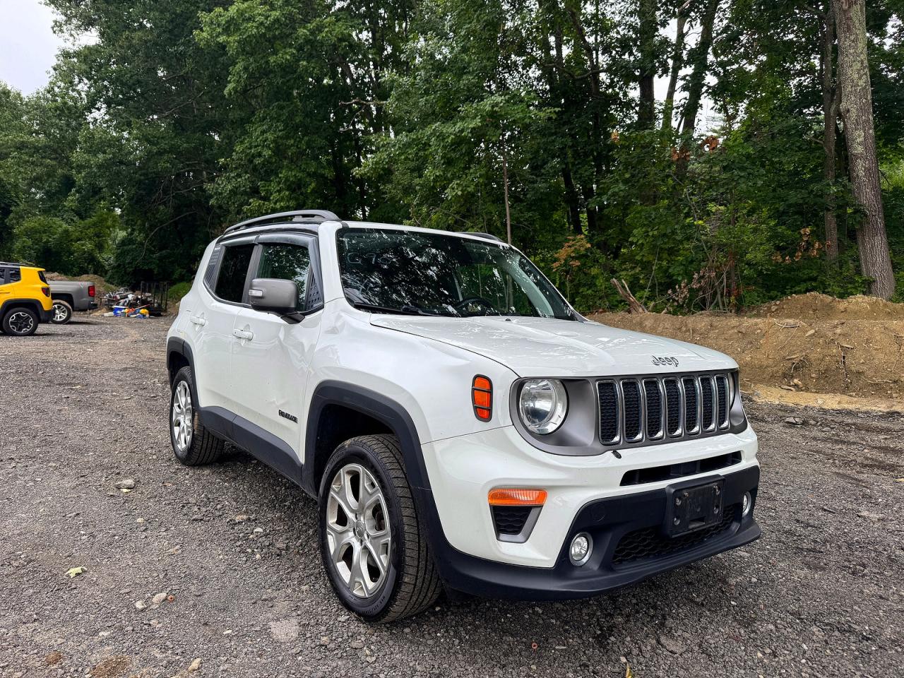 ZACNJBD11KPK03104 · 2019 JEEP RENEGADE