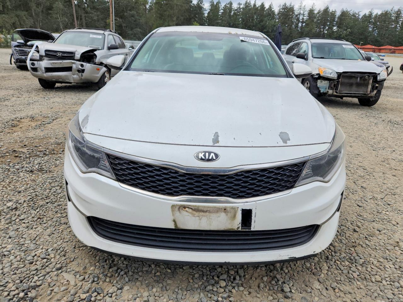 5XXGT4L33GG059183 · 2016 KIA OPTIMA · 5/12