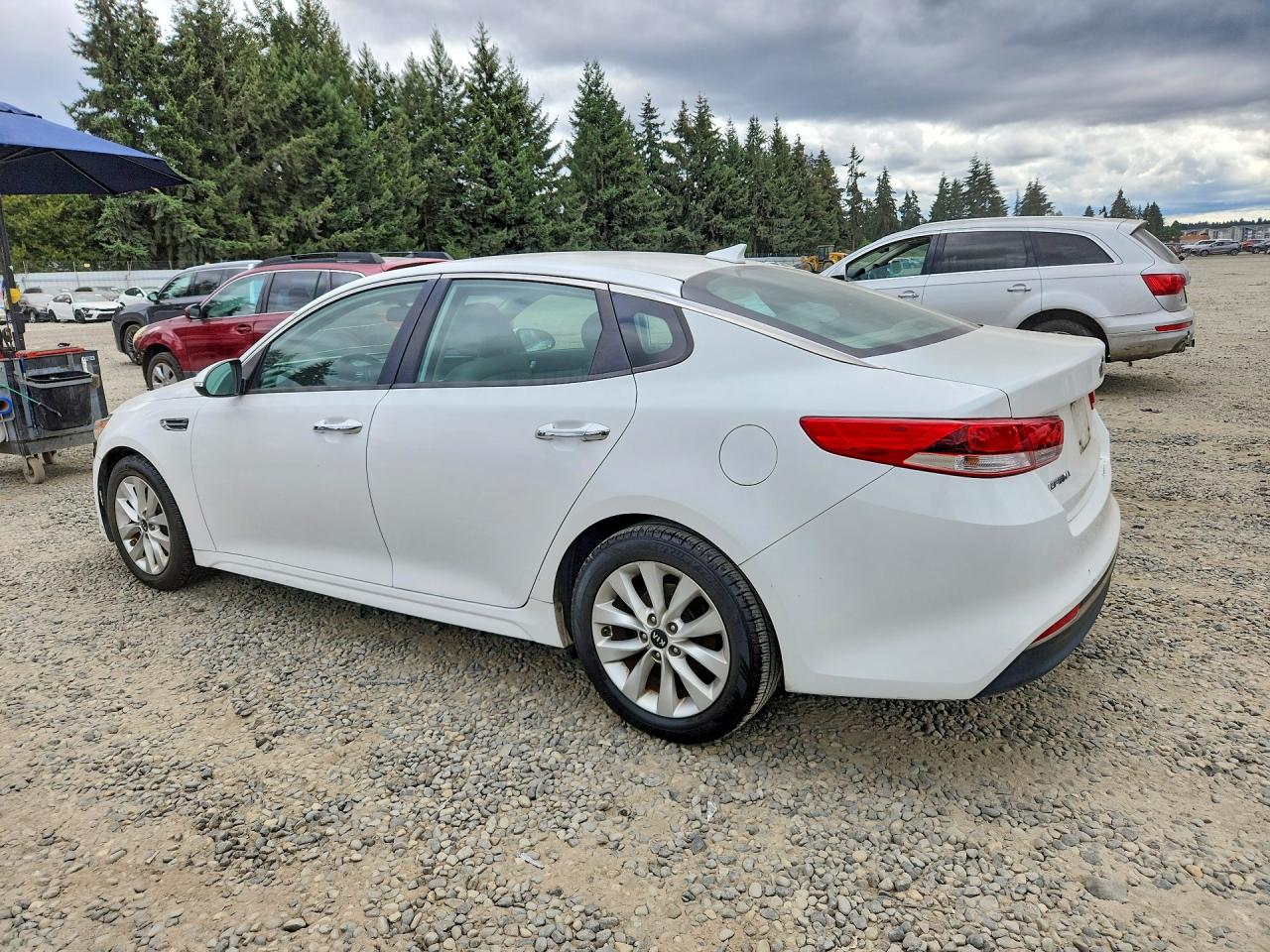 5XXGT4L33GG059183 · 2016 KIA OPTIMA · 2/12