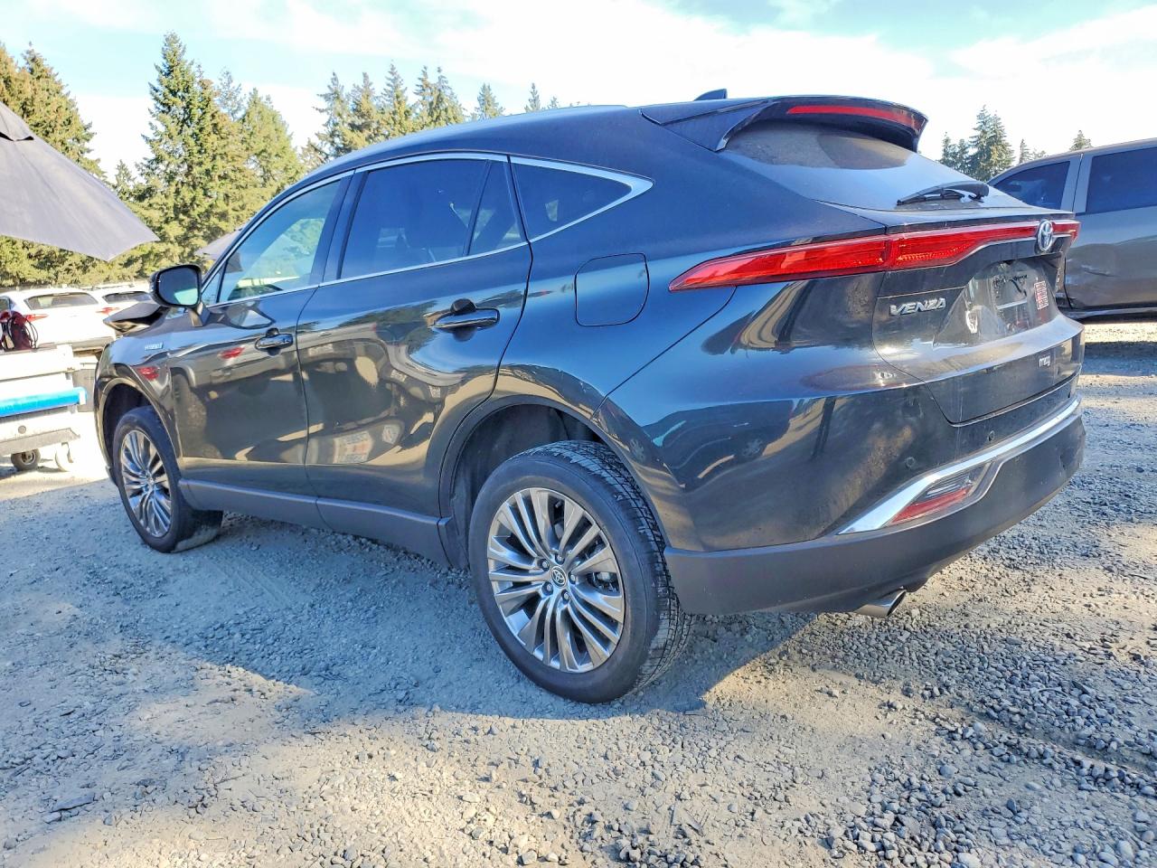 JTEAAAAH1MJ019938 · 2021 TOYOTA VENZA · 2/13