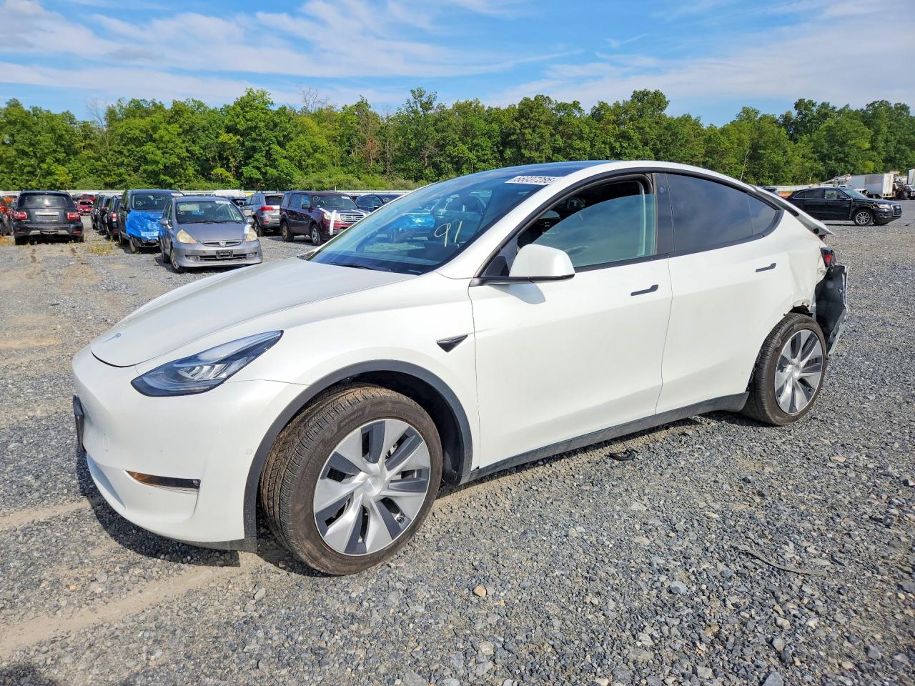 7SAYGDEE6NF486304 · 2022 TESLA MODEL Y