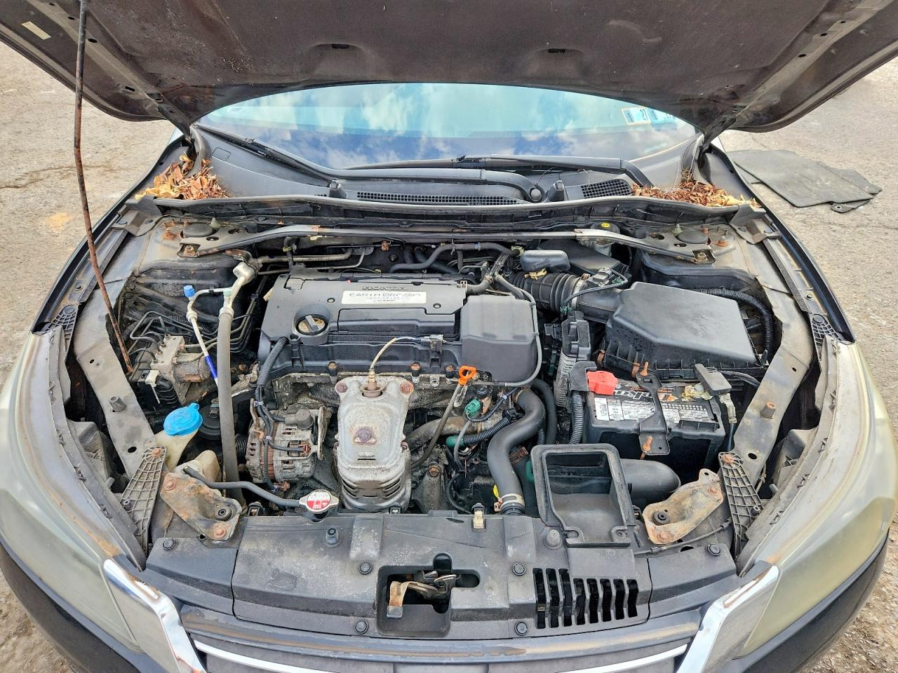 1HGCR2F57EA096875 · 2014 HONDA ACCORD · 11/12