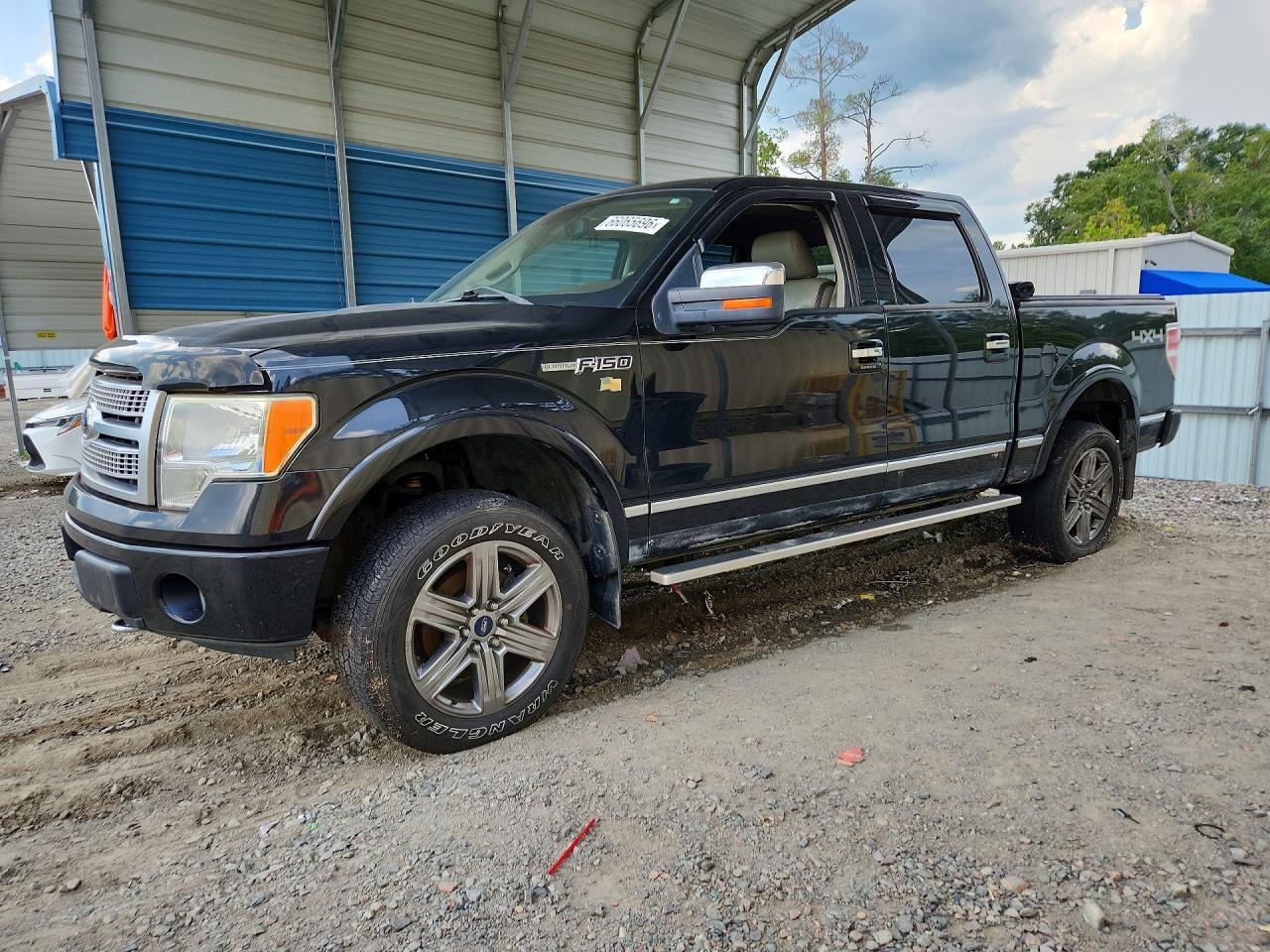 1FTFW1EV6AFA29732 · 2010 FORD F150