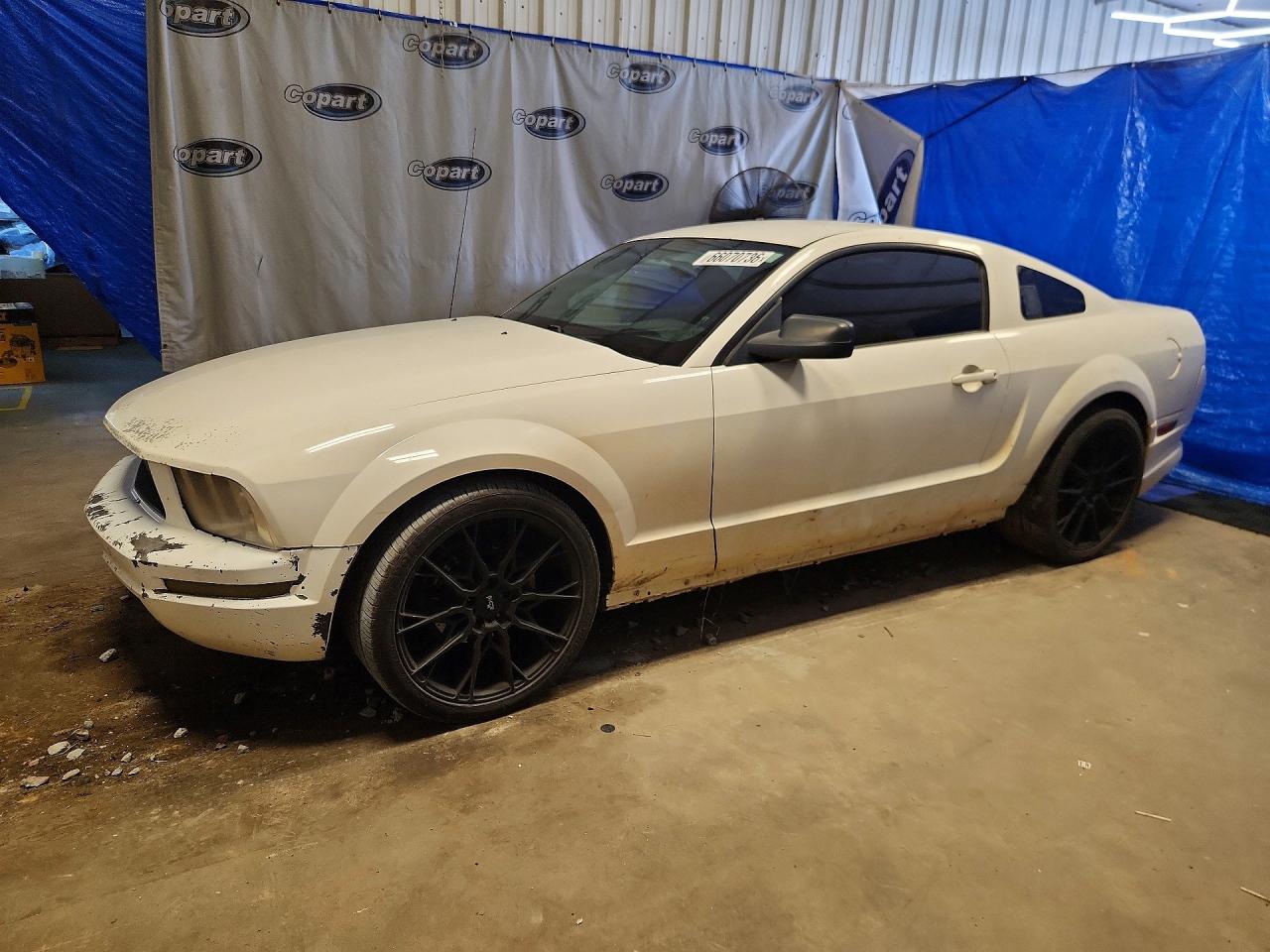 1ZVFT80N155152369 · 2005 FORD MUSTANG