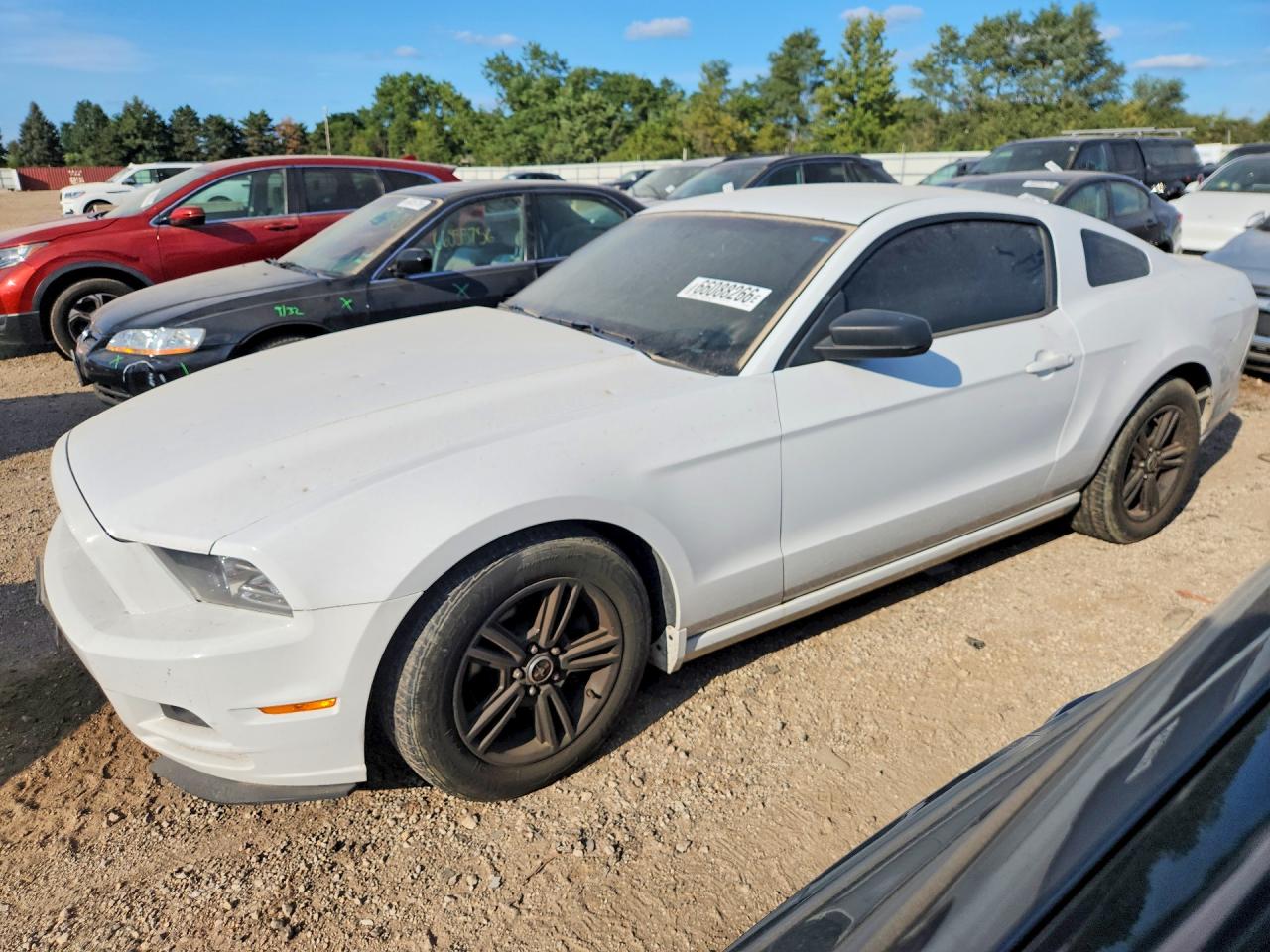 1ZVBP8AM3E5275163 · 2014 FORD MUSTANG