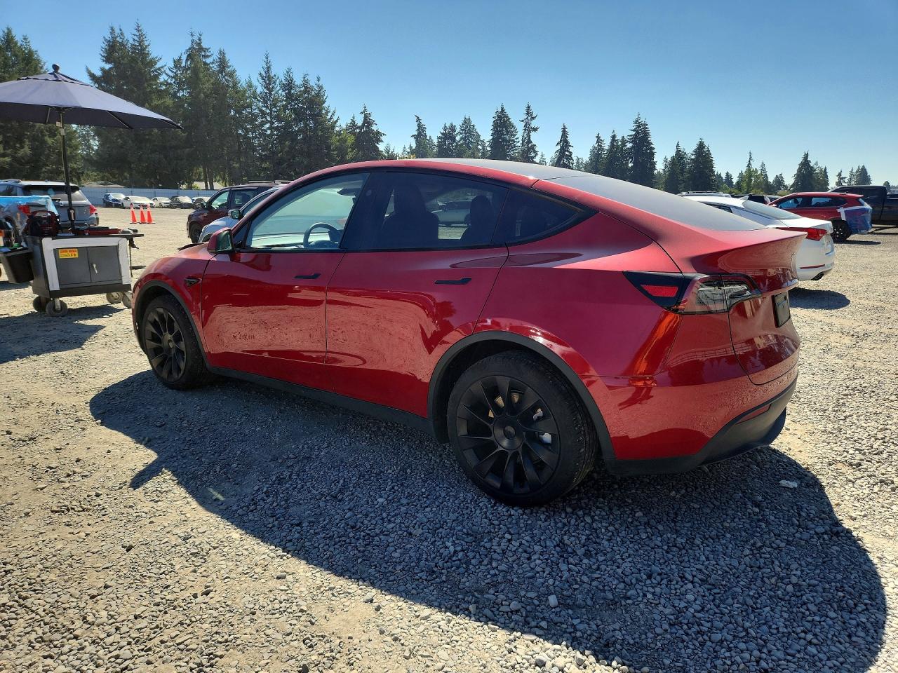 7SAYGDEE1PF922415 · 2023 TESLA MODEL  Y · 2/13