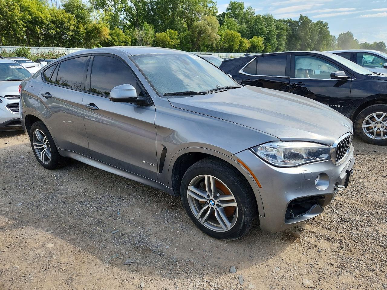 5UXKU6C32H0S99779 · 2017 BMW X6 · 4/13