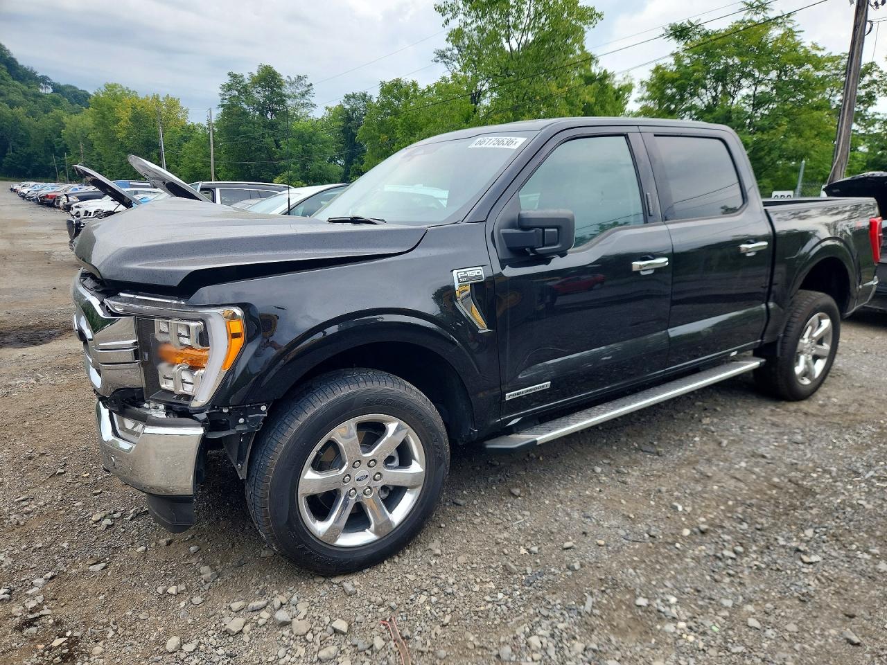 1FTFW1ED2PFD27842 · 2023 FORD F150