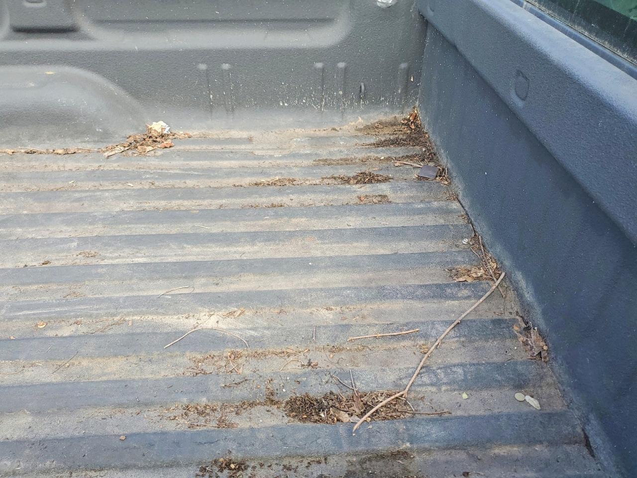 1GCNCPEX9BZ391983 · 2011 CHEVROLET SILVERADO · 10/12