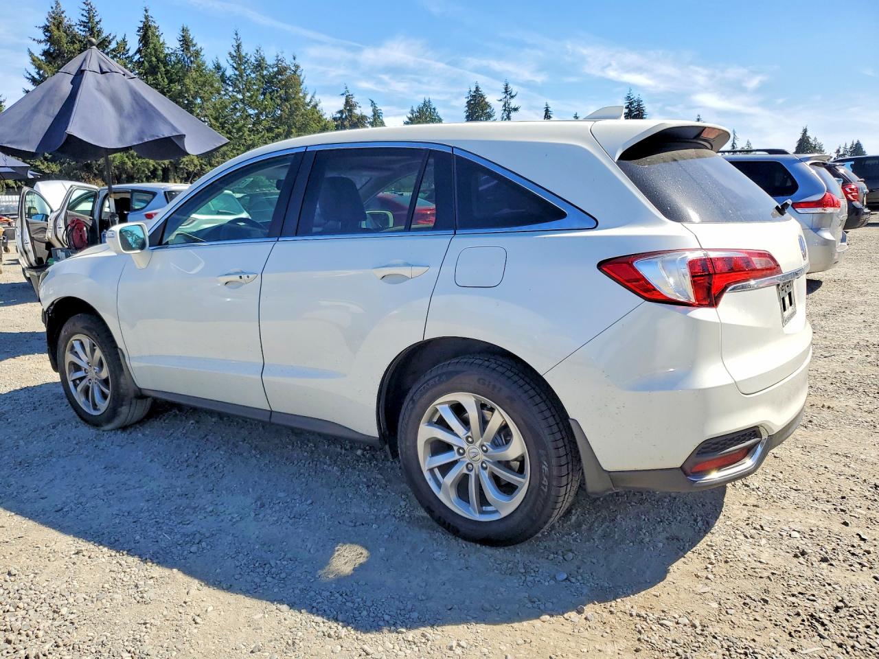 5J8TB4H52HL022124 · 2017 ACURA RDX · 2/13