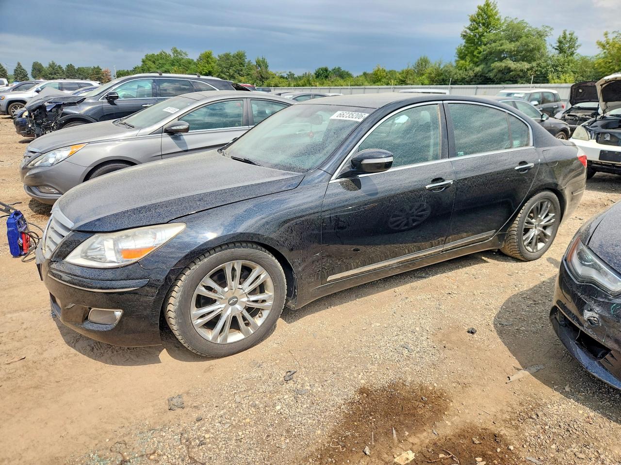 2011 HYUNDAI GENESIS