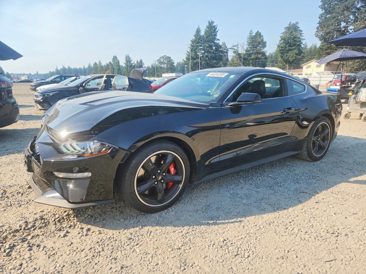 1FA6P8K02K5506555 · 2019 FORD MUSTANG