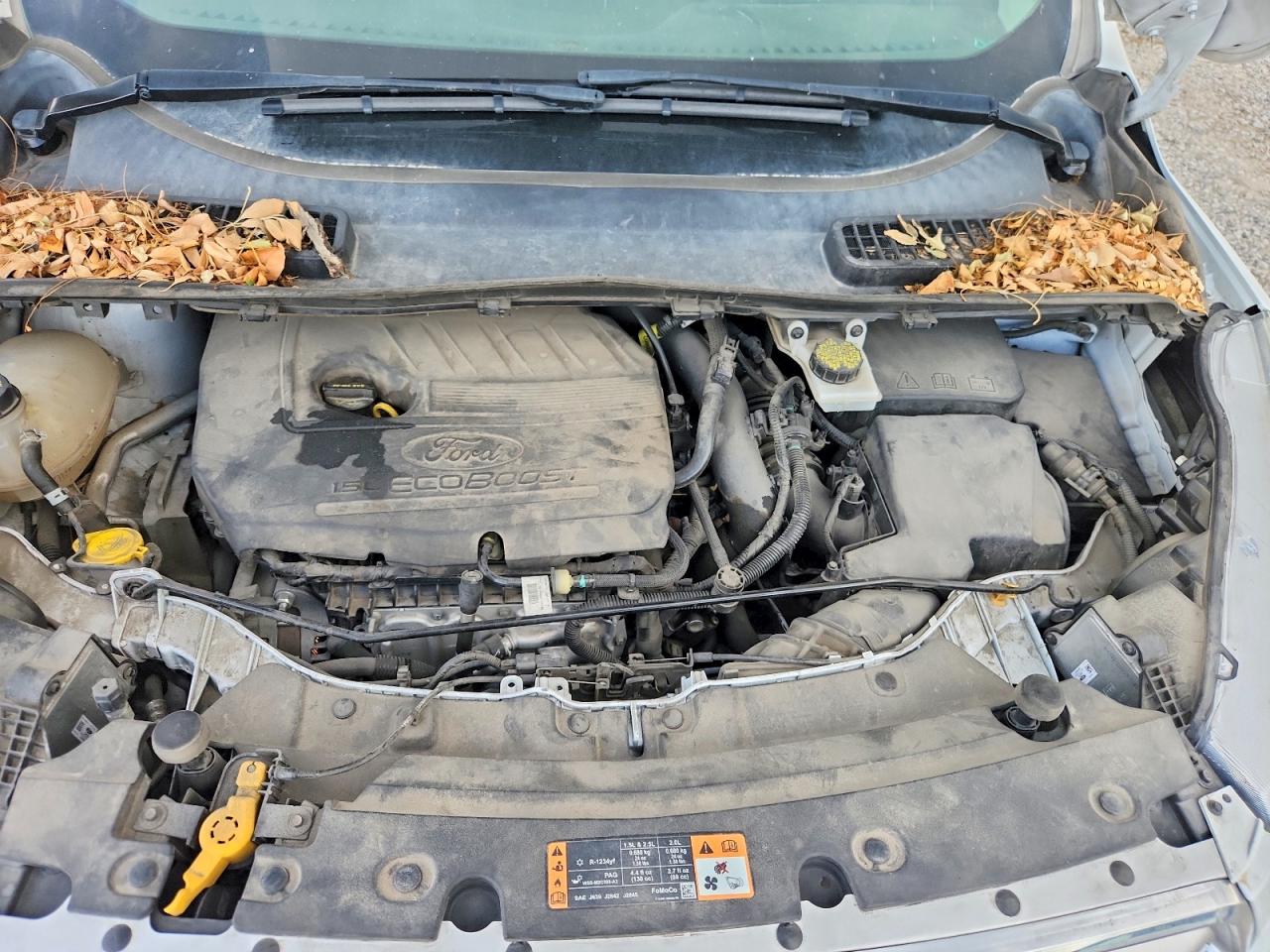 1FMCU0GDXHUC82528 · 2017 FORD ESCAPE · 12/13