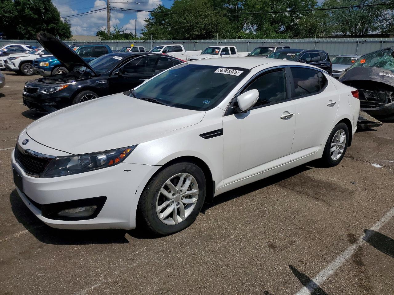 KNAGM4A78D5313387 · 2013 KIA OPTIMA