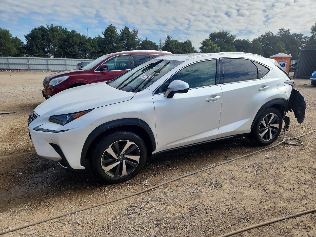 2019 LEXUS NX 300