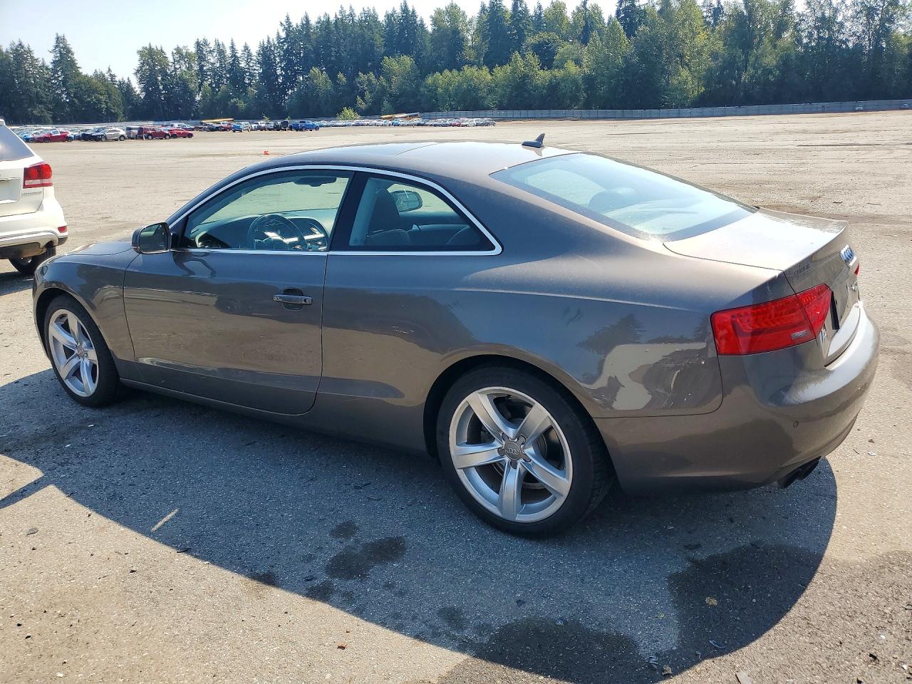WAULFAFR7EA006612 · 2014 AUDI A5 · 2/12