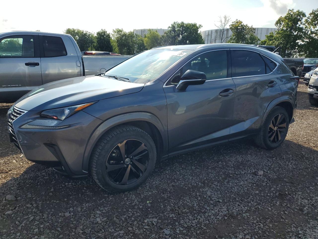 2020 LEXUS NX