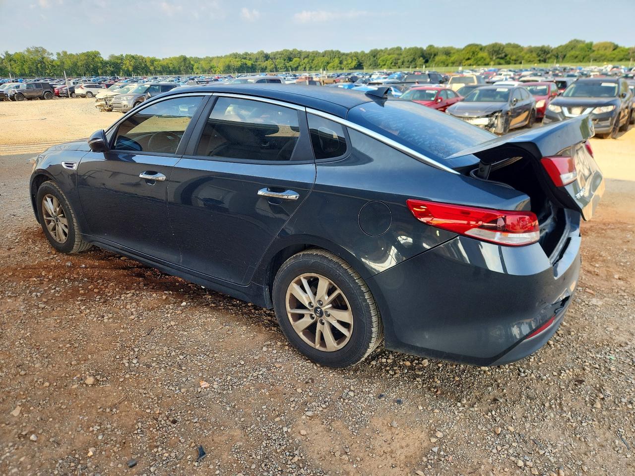 5XXGT4L34GG019551 · 2016 KIA OPTIMA · 2/12