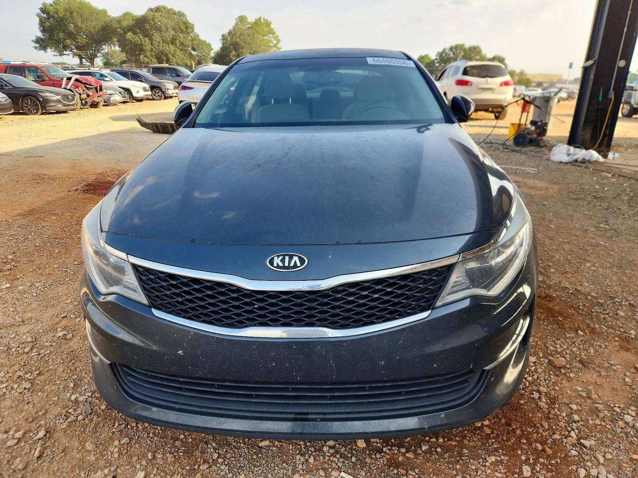 5XXGT4L34GG019551 · 2016 KIA OPTIMA · 5/12