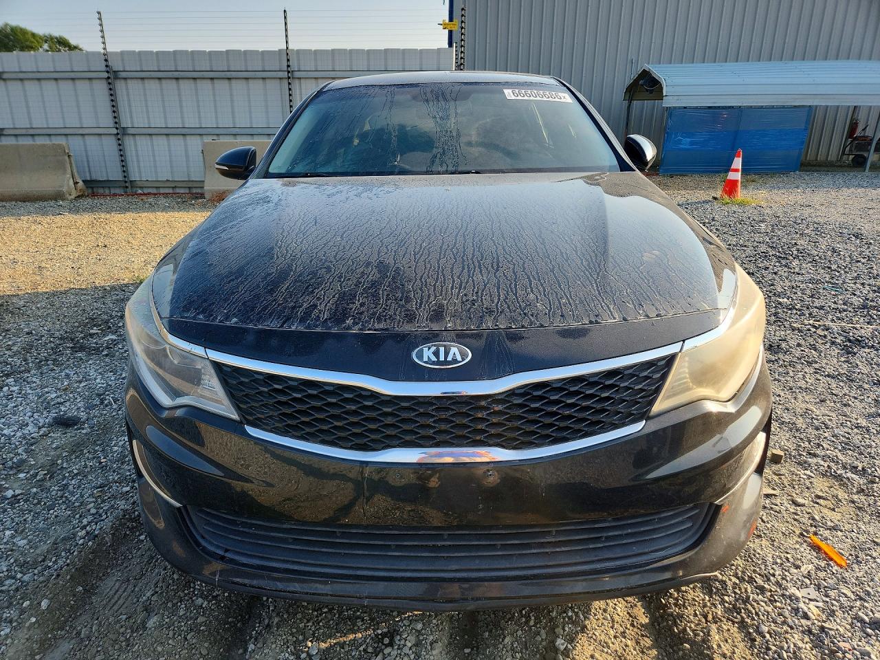 5XXGT4L37GG052267 · 2016 KIA OPTIMA · 5/12