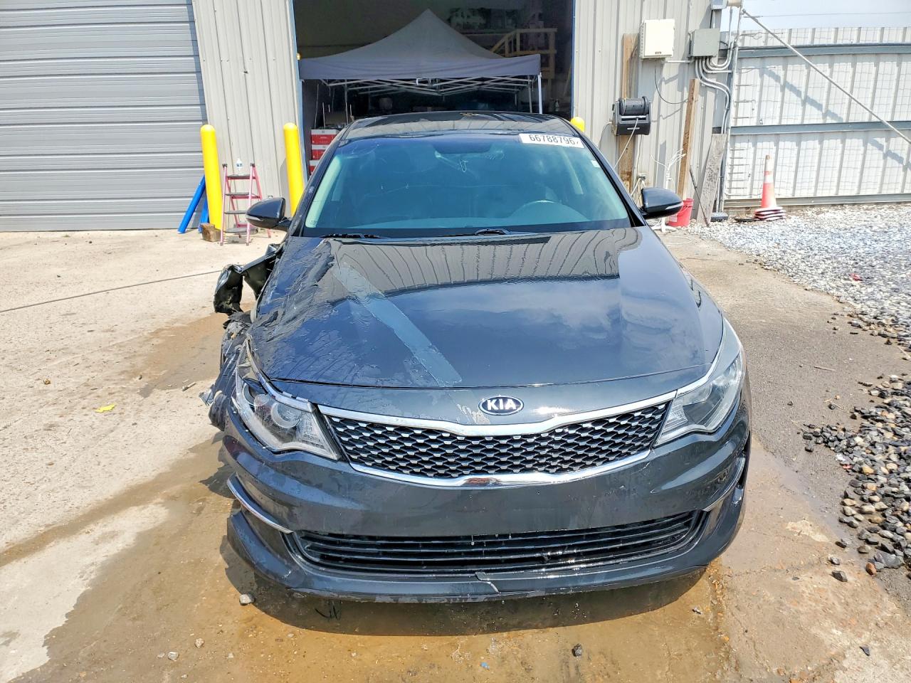 5XXGU4L39GG094677 · 2016 KIA OPTIMA · 5/12