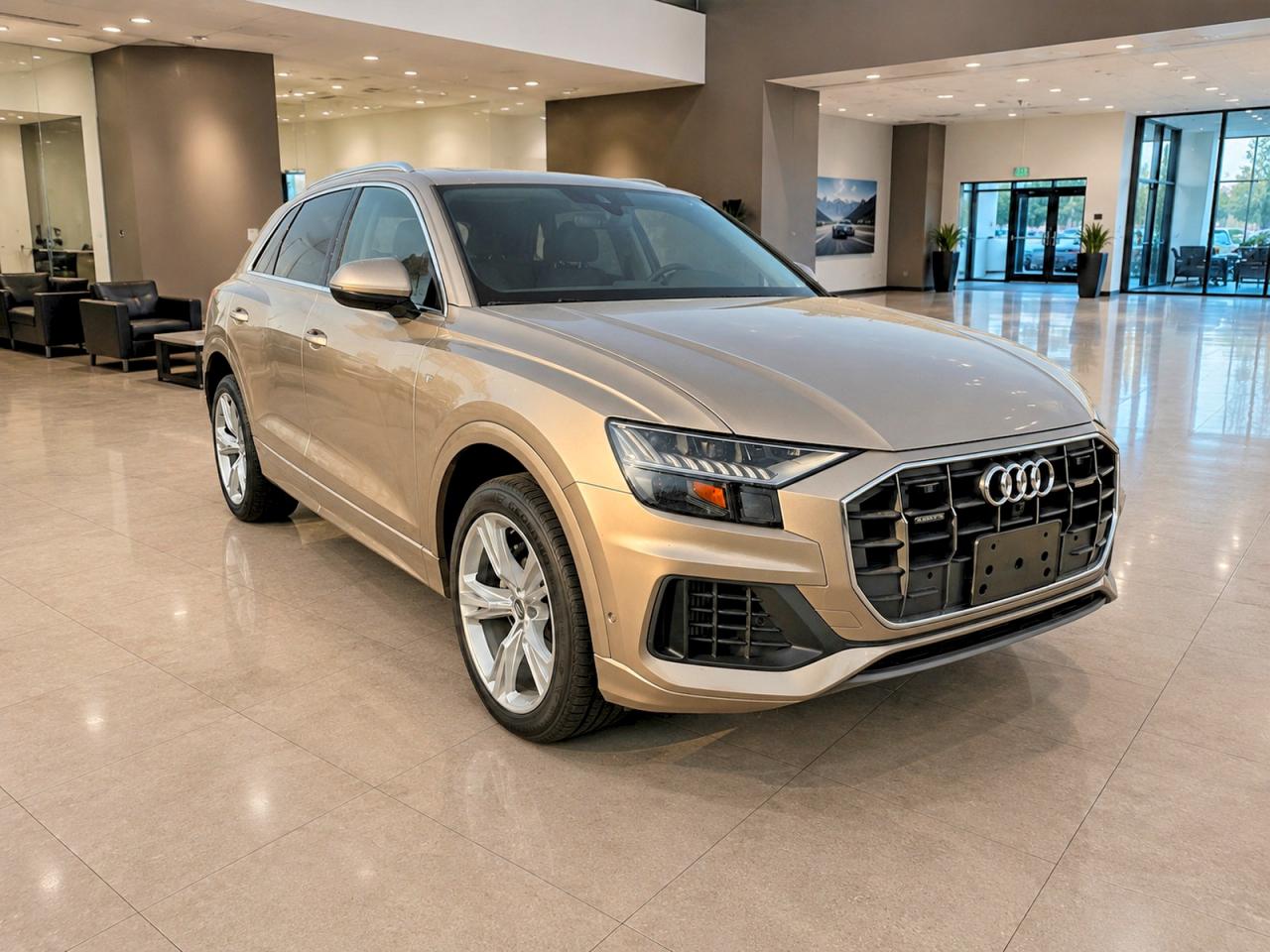 2019 AUDI Q8