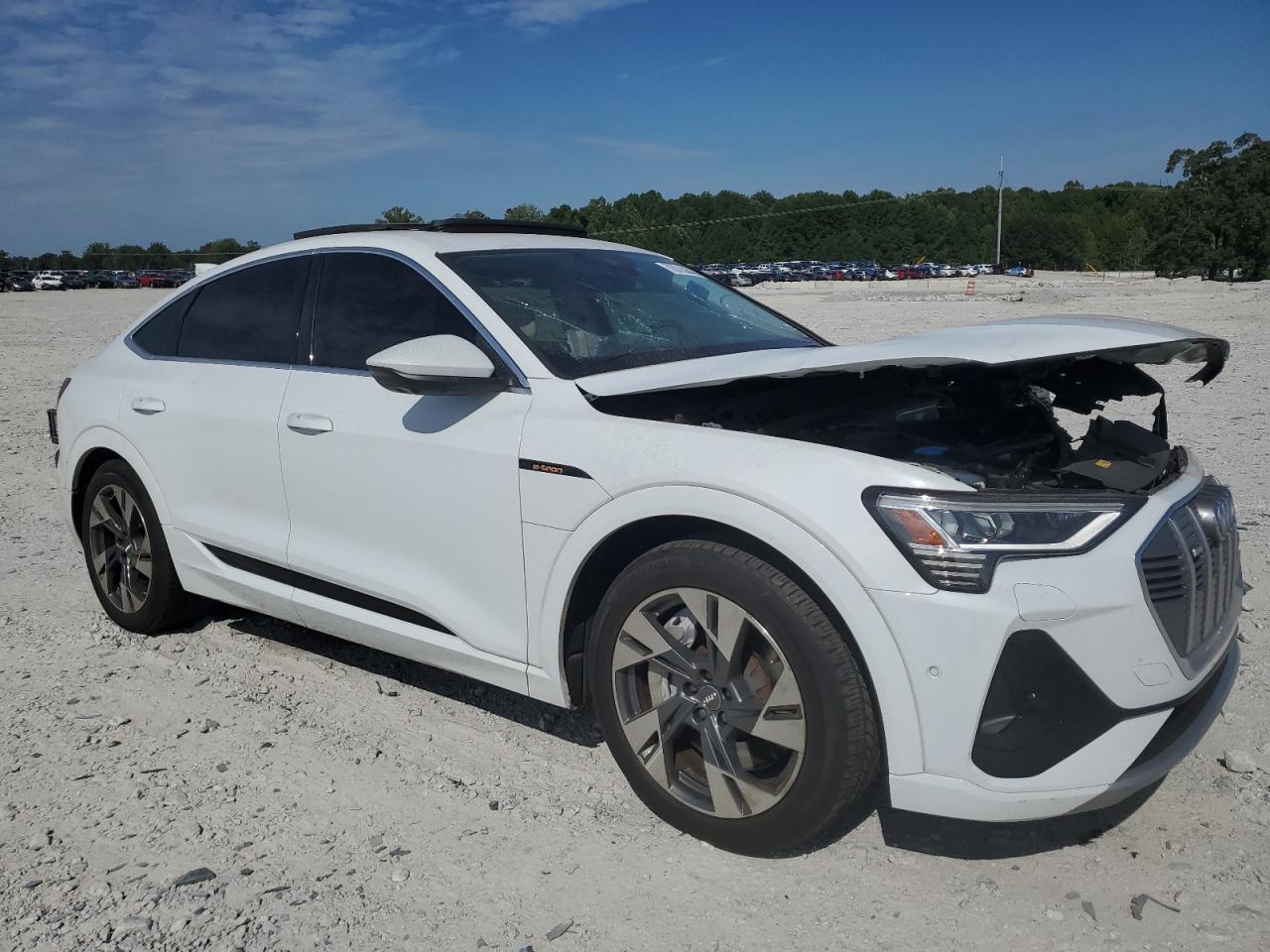 WA12AAGE9MB001410 · 2021 AUDI E-TRON · 4/13