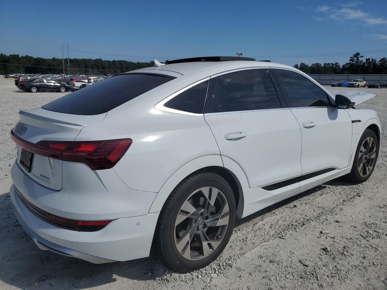 WA12AAGE9MB001410 · 2021 AUDI E-TRON · 3/13