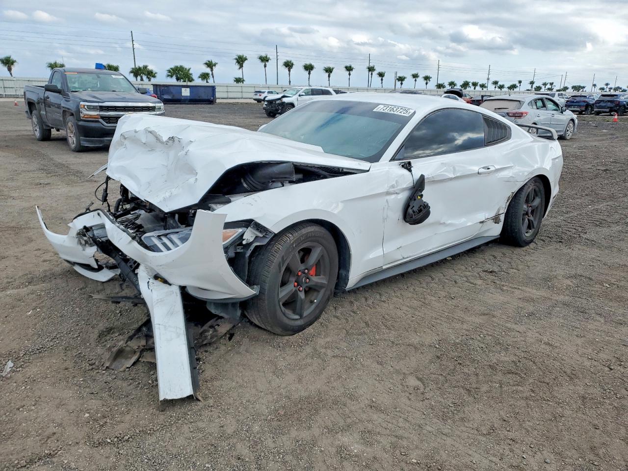 1FA6P8AM9H5202524 · 2017 FORD MUSTANG