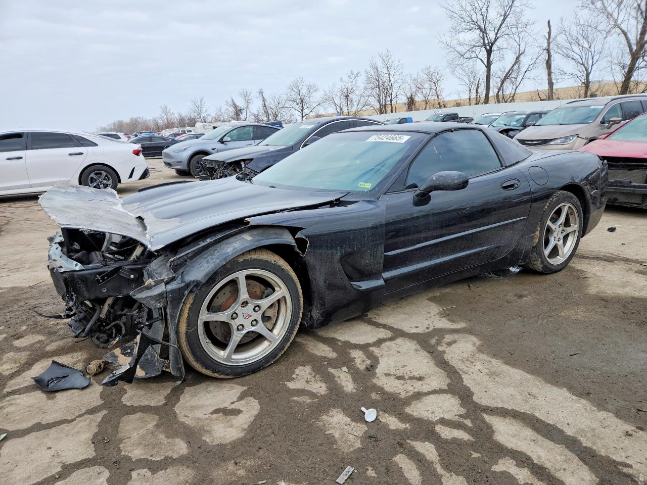 2004 CHEVROLET CORVETTE