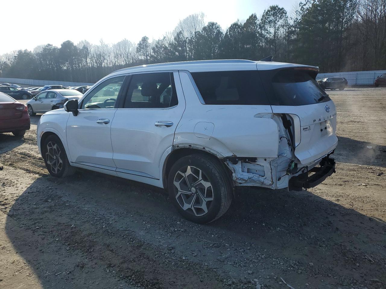 KM8R74HE1MU318861 · 2021 HYUNDAI PALISADE · 2/14