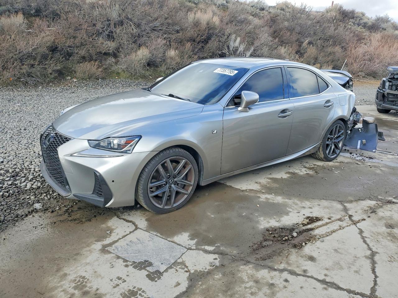 2019 LEXUS IS 350