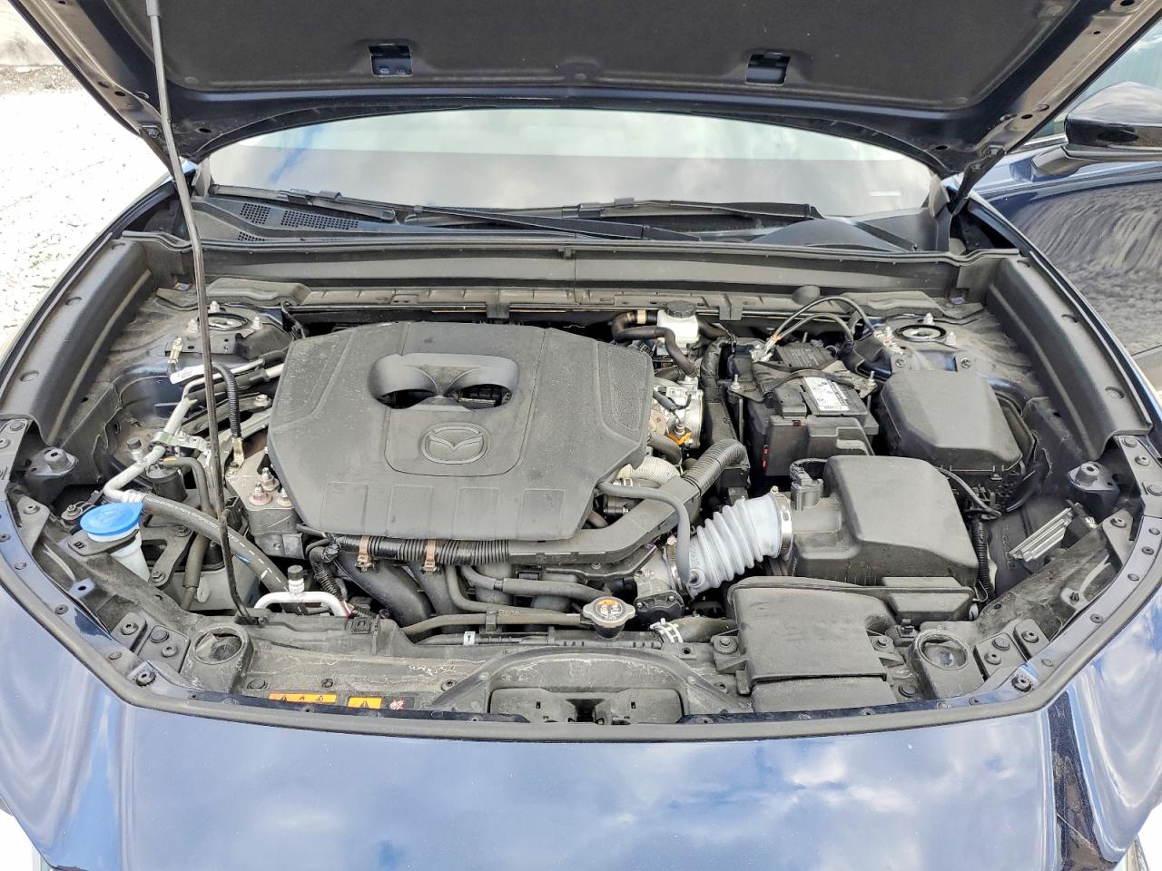 3MVDMBBM9RM677882 · 2024 MAZDA CX-30 · 12/13