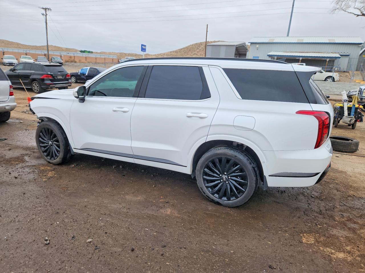 KM8R7DGE6SU887767 · 2025 HYUNDAI PALISADE · 2/12