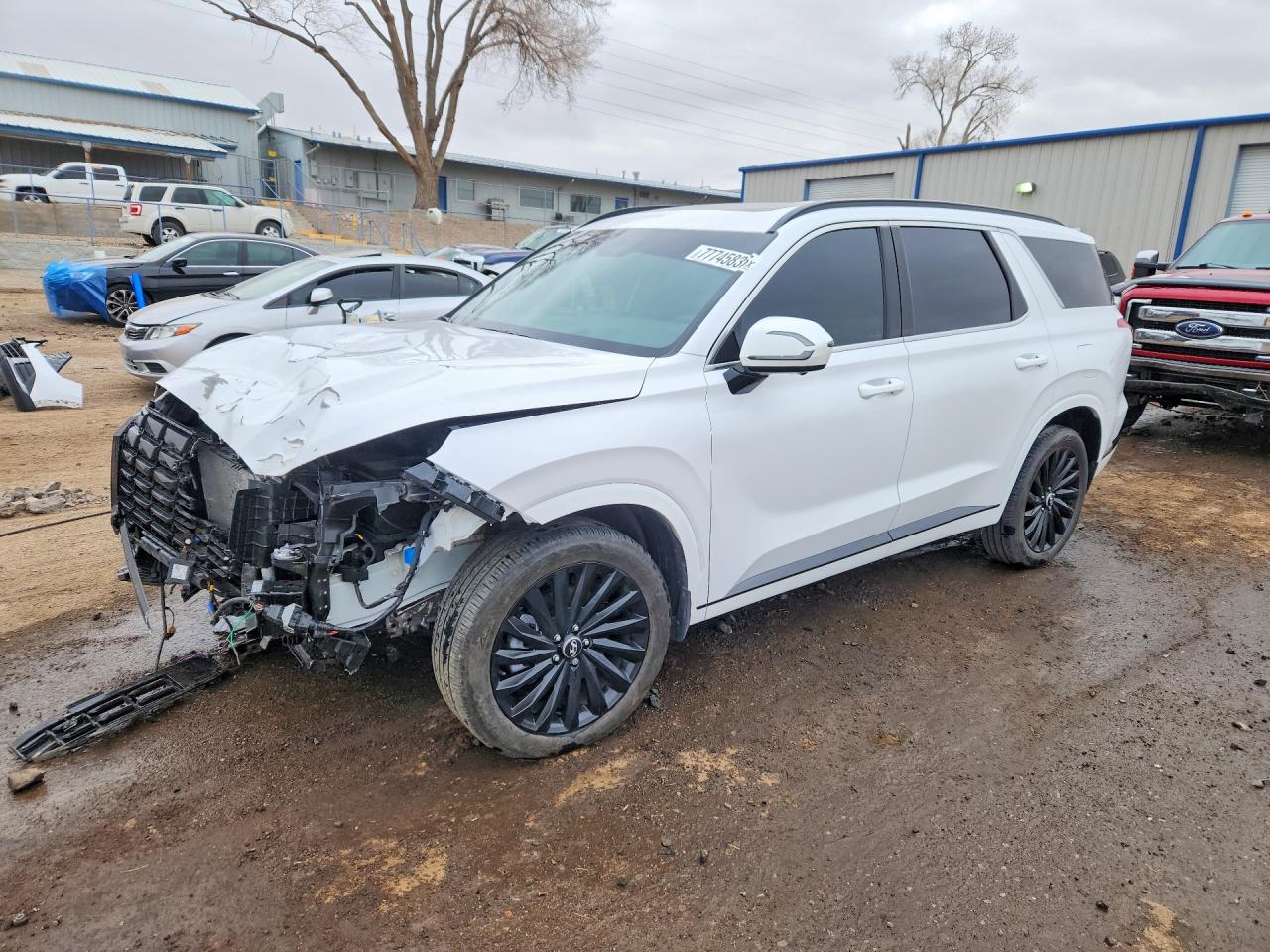 KM8R7DGE6SU887767 · 2025 HYUNDAI PALISADE