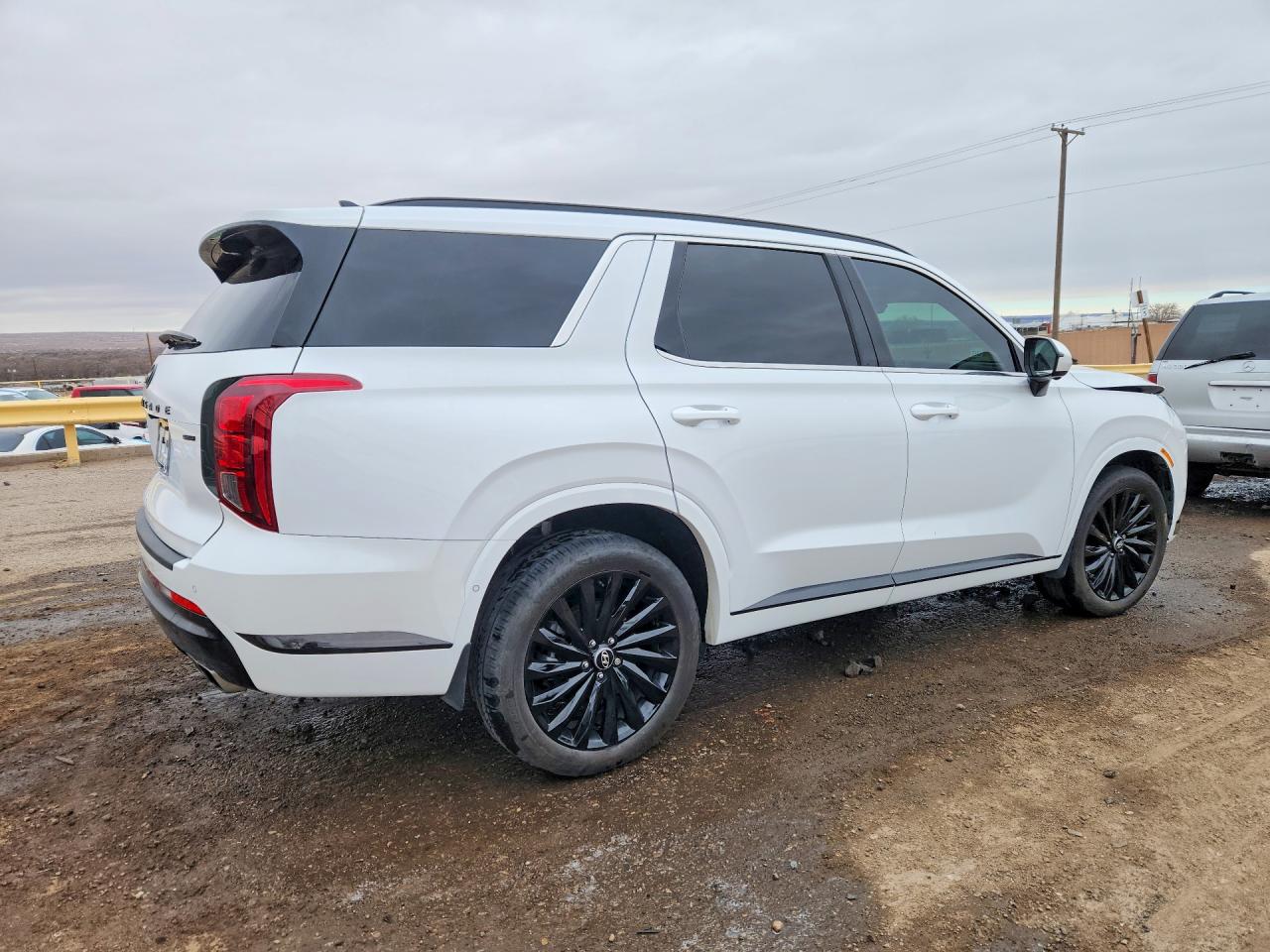 KM8R7DGE6SU887767 · 2025 HYUNDAI PALISADE · 3/12
