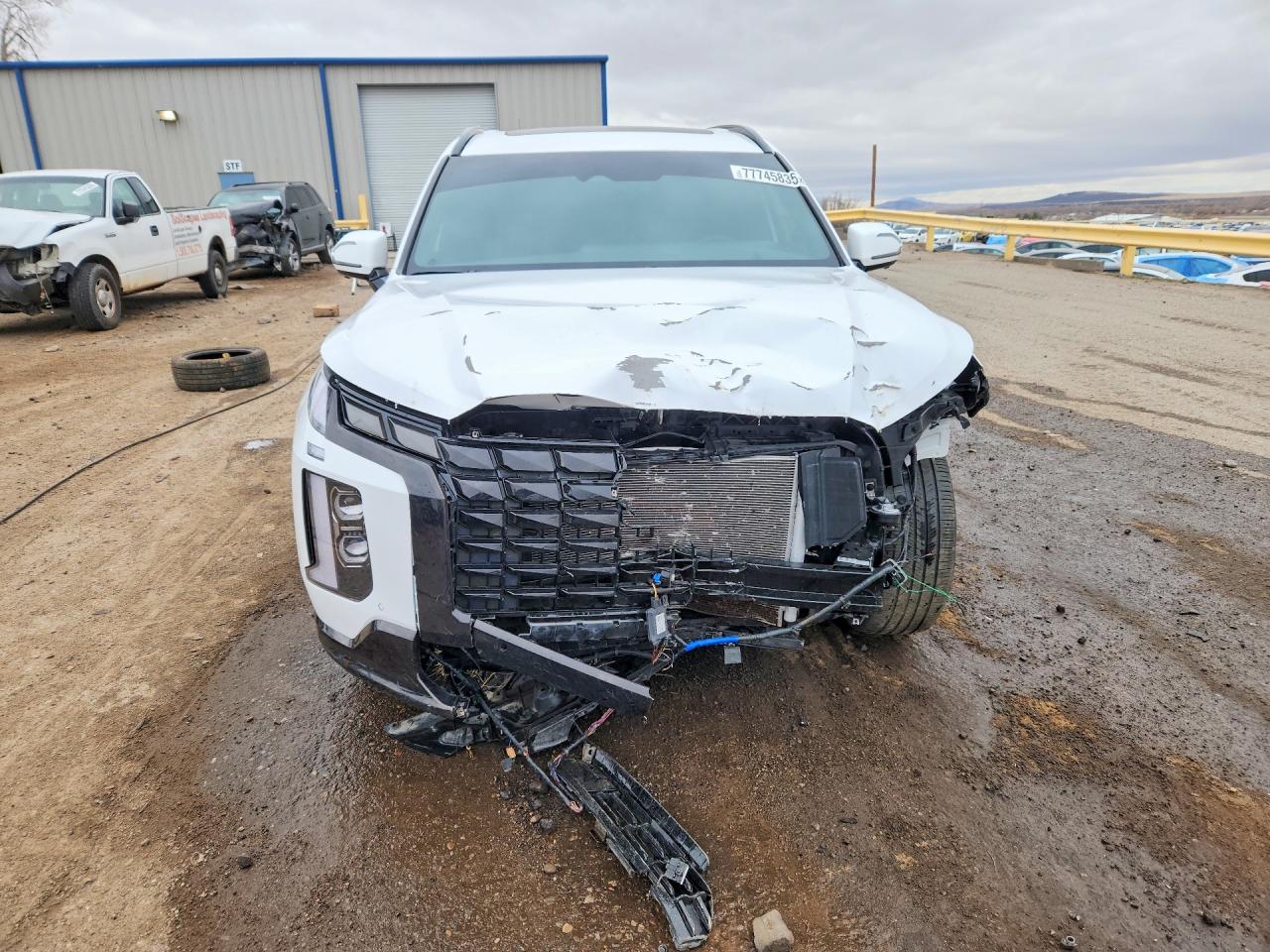 KM8R7DGE6SU887767 · 2025 HYUNDAI PALISADE · 5/12