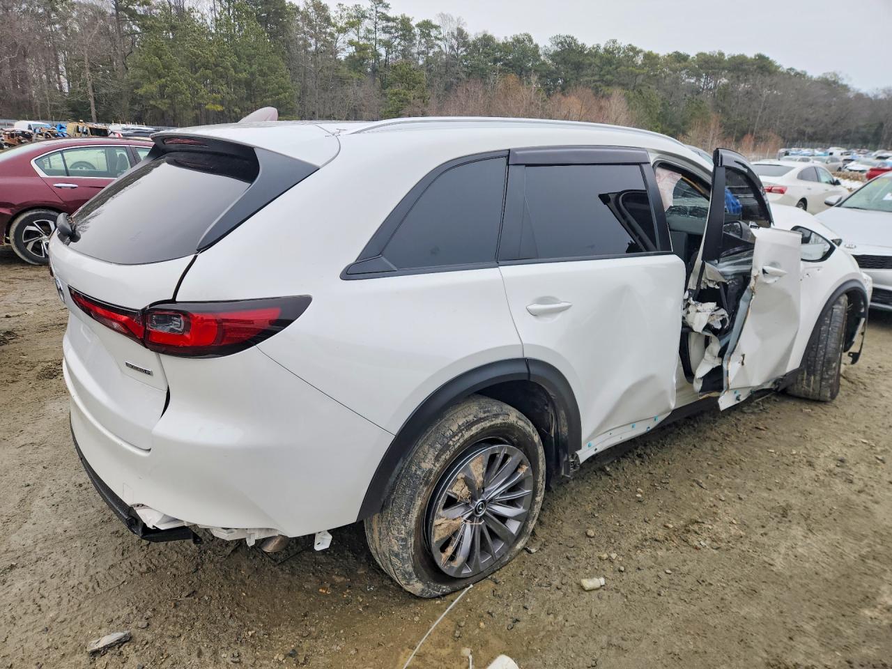 JM3KKAHD4R1171042 · 2024 MAZDA CX-90 · 3/13
