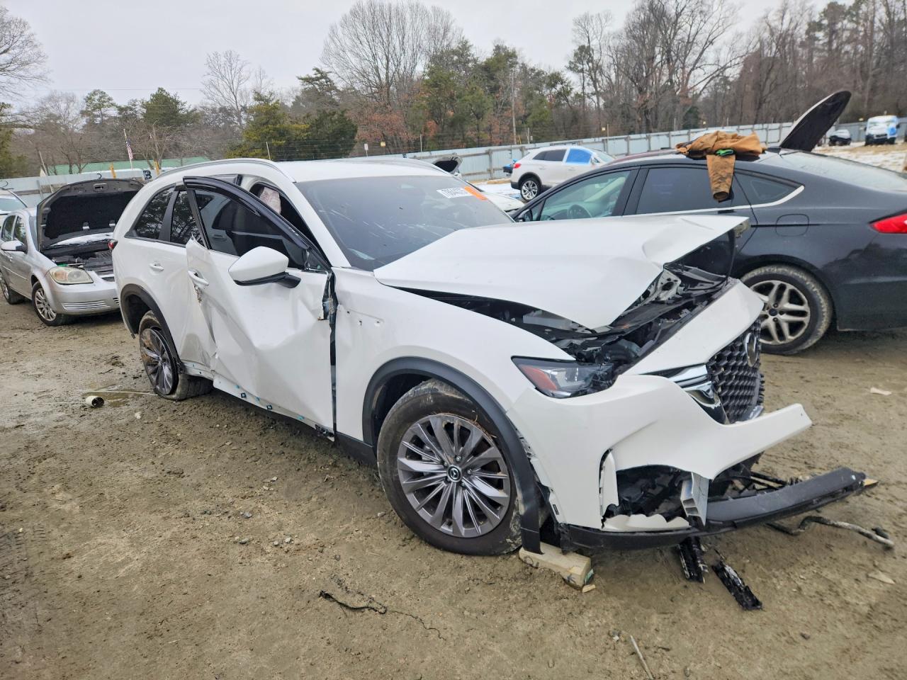 JM3KKAHD4R1171042 · 2024 MAZDA CX-90 · 4/13