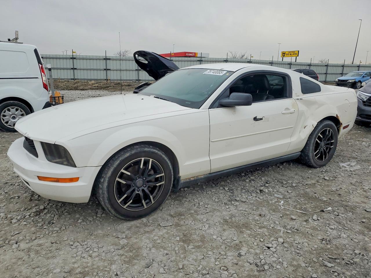 1ZVFT80N055191101 · 2005 FORD MUSTANG