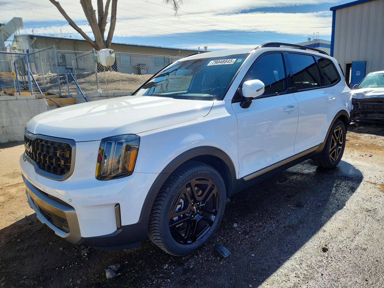 5XYP5DGC5PG392548 · 2023 KIA TELLURIDE