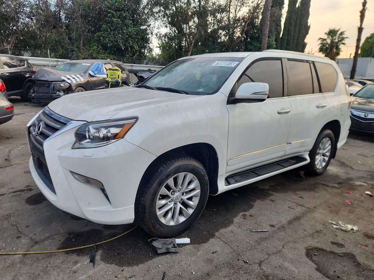 JTJBM7FX7K5239655 · 2019 LEXUS GX 460