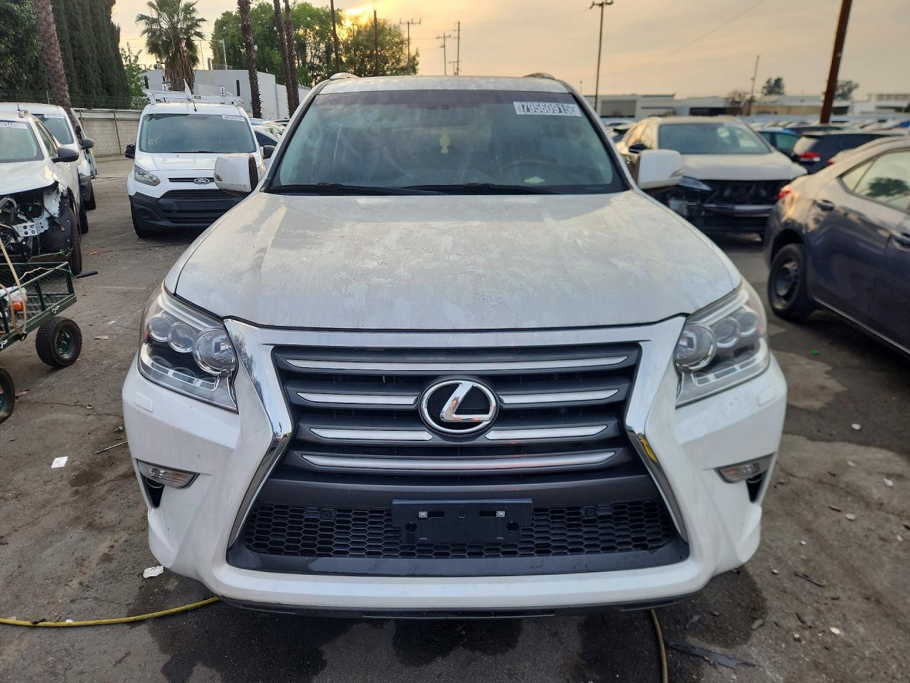 JTJBM7FX7K5239655 · 2019 LEXUS GX 460 · 5/12