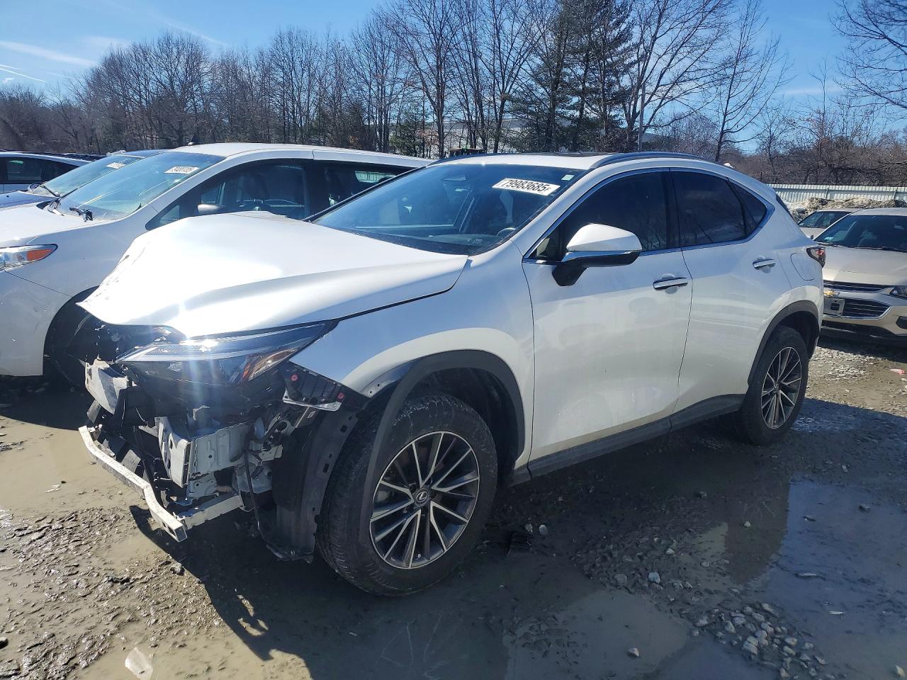 2022 LEXUS NX 350